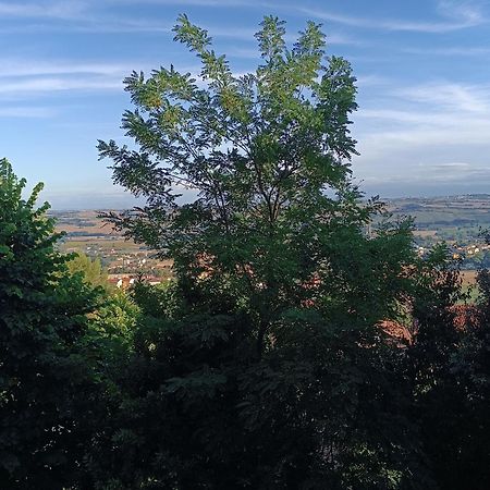 Appartamenti Dei Conti Озімо Екстер'єр фото
